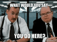 IMG_9024.gif