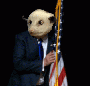 20250429_095931.gif