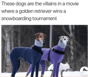 1745977389256.png