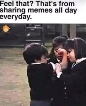 1745980192048.jpeg