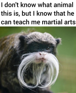 1745998641882.png