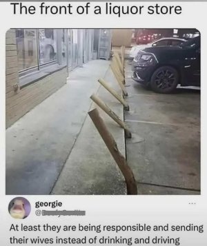 1000003111.jpg