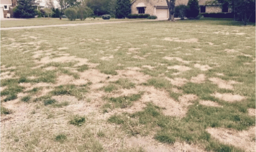 IMG_9059.gif