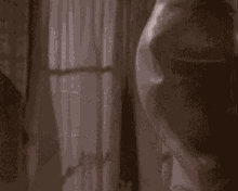 IMG_2972.gif