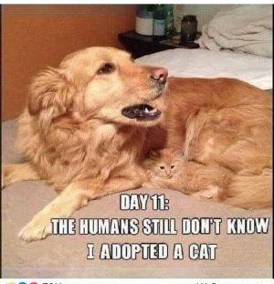 IMG_2467.jpeg