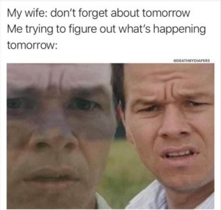 492043431_1054637823198439_2942266708478567899_n.jpg