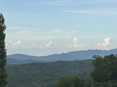 IMG_3017.jpeg