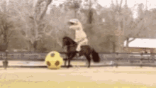 IMG_9150.gif