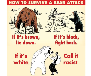 1746391062693.png