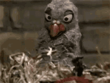 IMG_9185.gif
