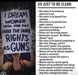 women gun rights.png