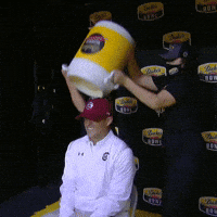 1746706049482.gif