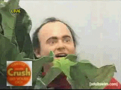 20250509_132944.gif