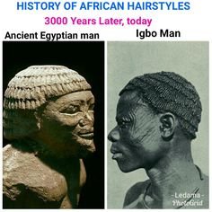1746824659561.jpeg