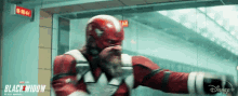 IMG_9344.gif