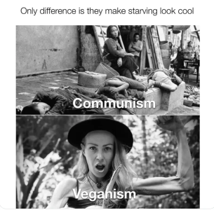 1747003084810.png