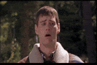 1747007849319.gif