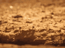 IMG_9354.gif