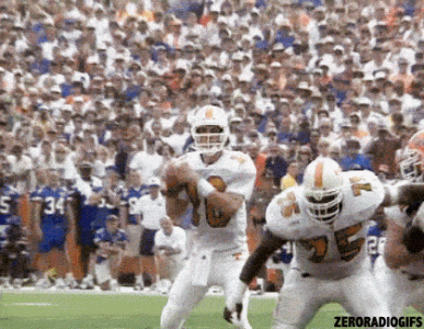 IMG_9357.gif