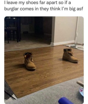 1000003250.jpg