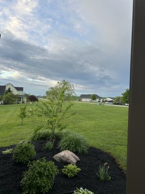 IMG_1977.jpeg