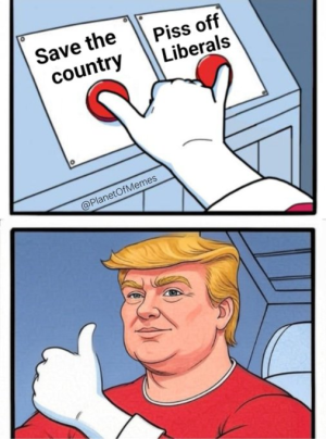 1747249590802.png