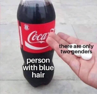 1747250100106.png