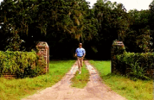 1747268593784.gif