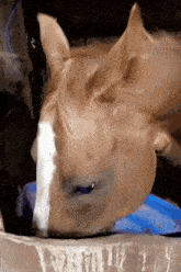 IMG_9396.gif