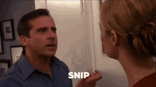 snip-snap-the-office-4037026952.gif