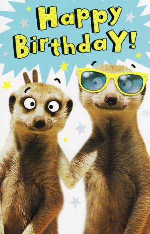 birthday-card-344784.jpeg