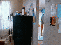 IMG_9433.gif