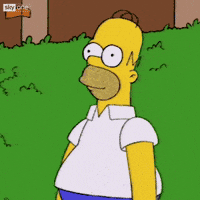1747420952896.gif