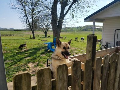 20180419_155451.jpg