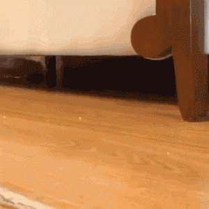 1747430381338.gif