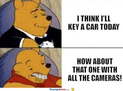 1000003288.jpg