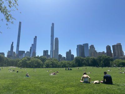 IMG_7128.jpeg