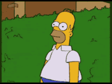 1747597090820.gif