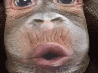 200w (16).gif
