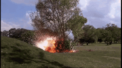 IMG_9546.gif