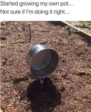 1748042347519.png