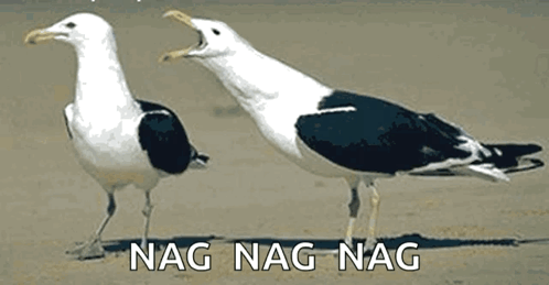 image.gif