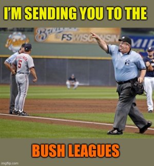 Bush League Baseball.jpg