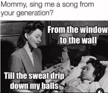 1748267066587.png