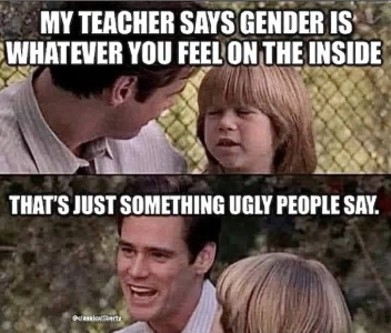 1748533584248.png