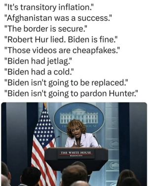 1748534451391.png