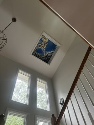 IMG_2774.jpeg