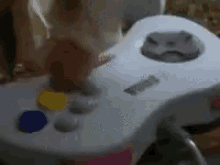 IMG_5921.gif