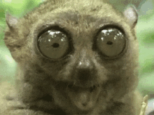 IMG_9773.gif