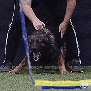 1748753698262.gif